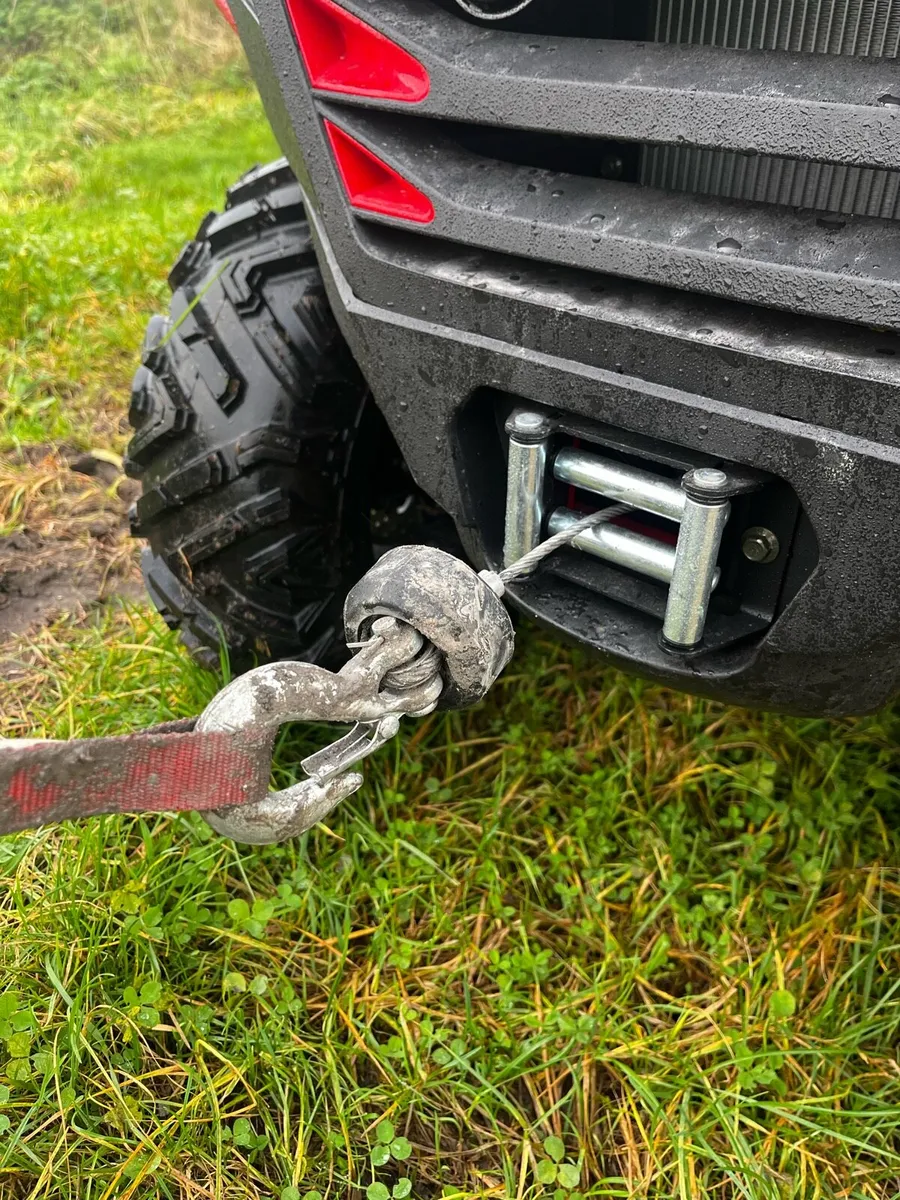 300cc quad bike - Image 4