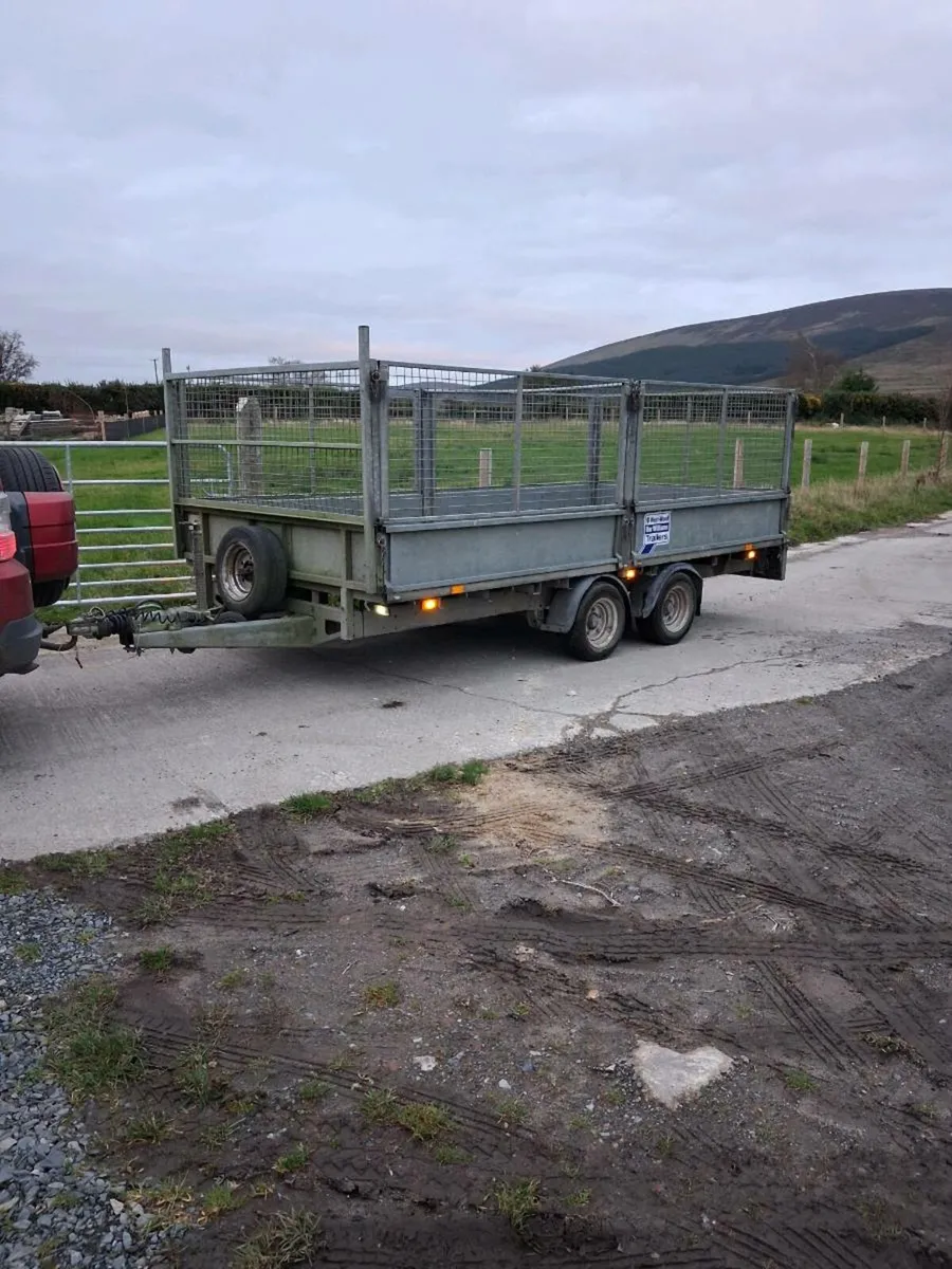 14ft Ifor Williams - Image 1