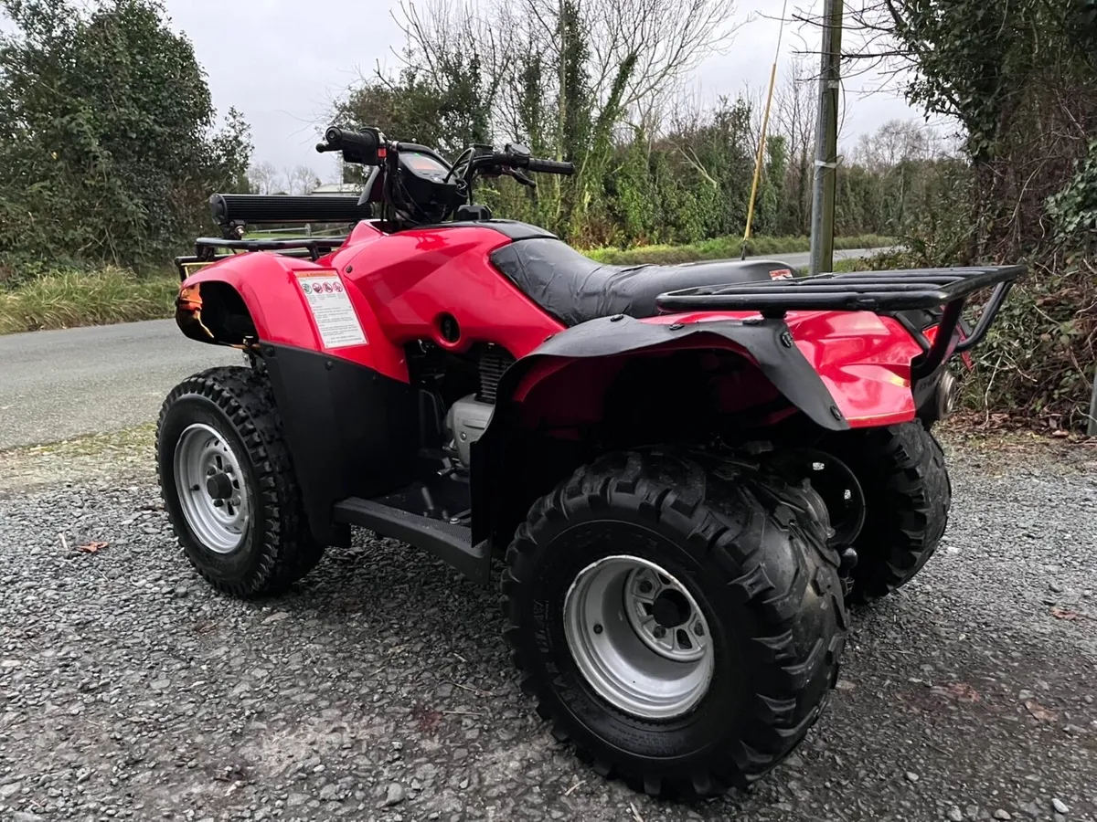 Honda 250trx - Image 4