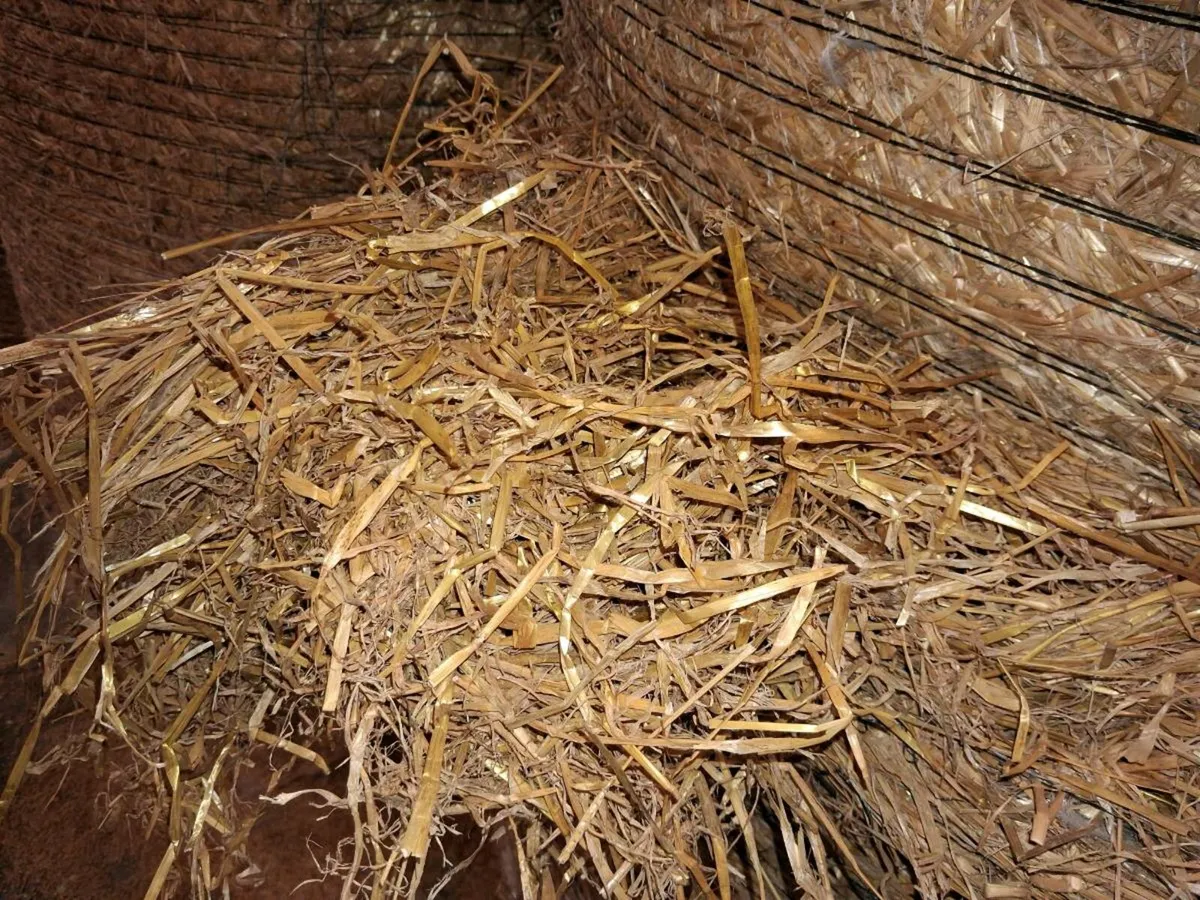 Golden barley strae - Image 2