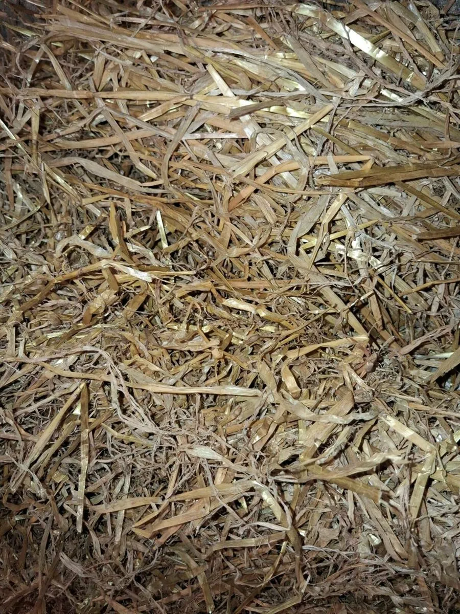Golden barley strae - Image 1