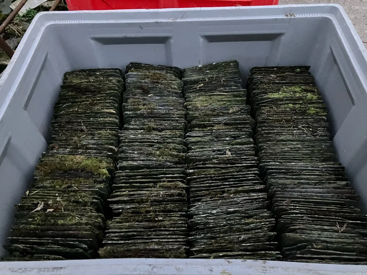 Blue Bangor Slates - Image 1