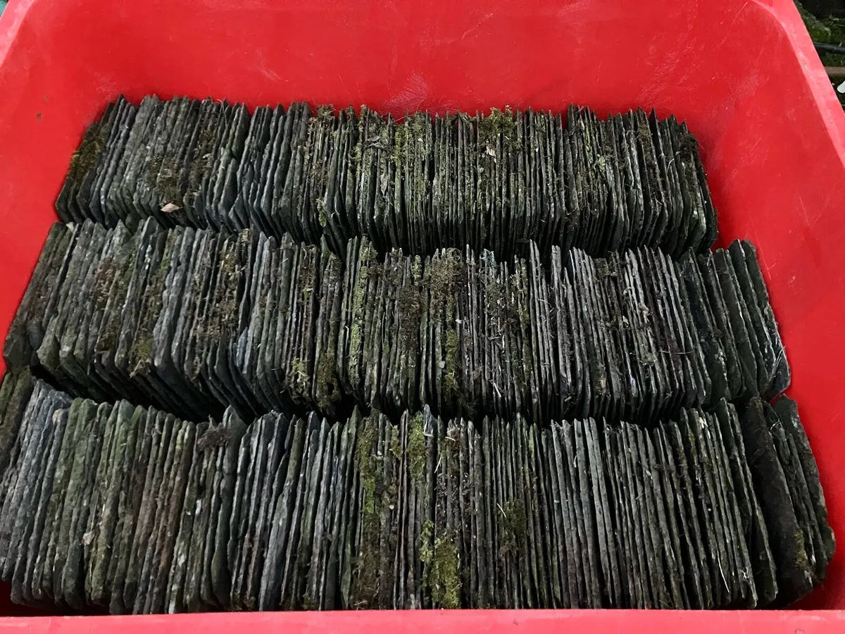 Blue Bangor Slates - Image 2