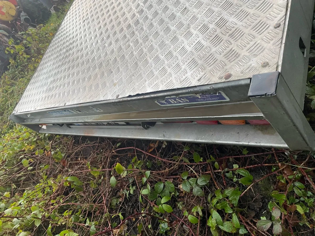 Dane kale 14ft - Image 1