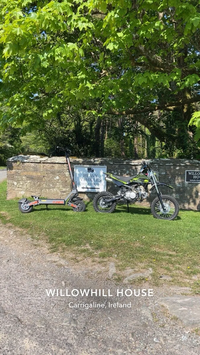 Stomp 110 Pit bike - Image 3