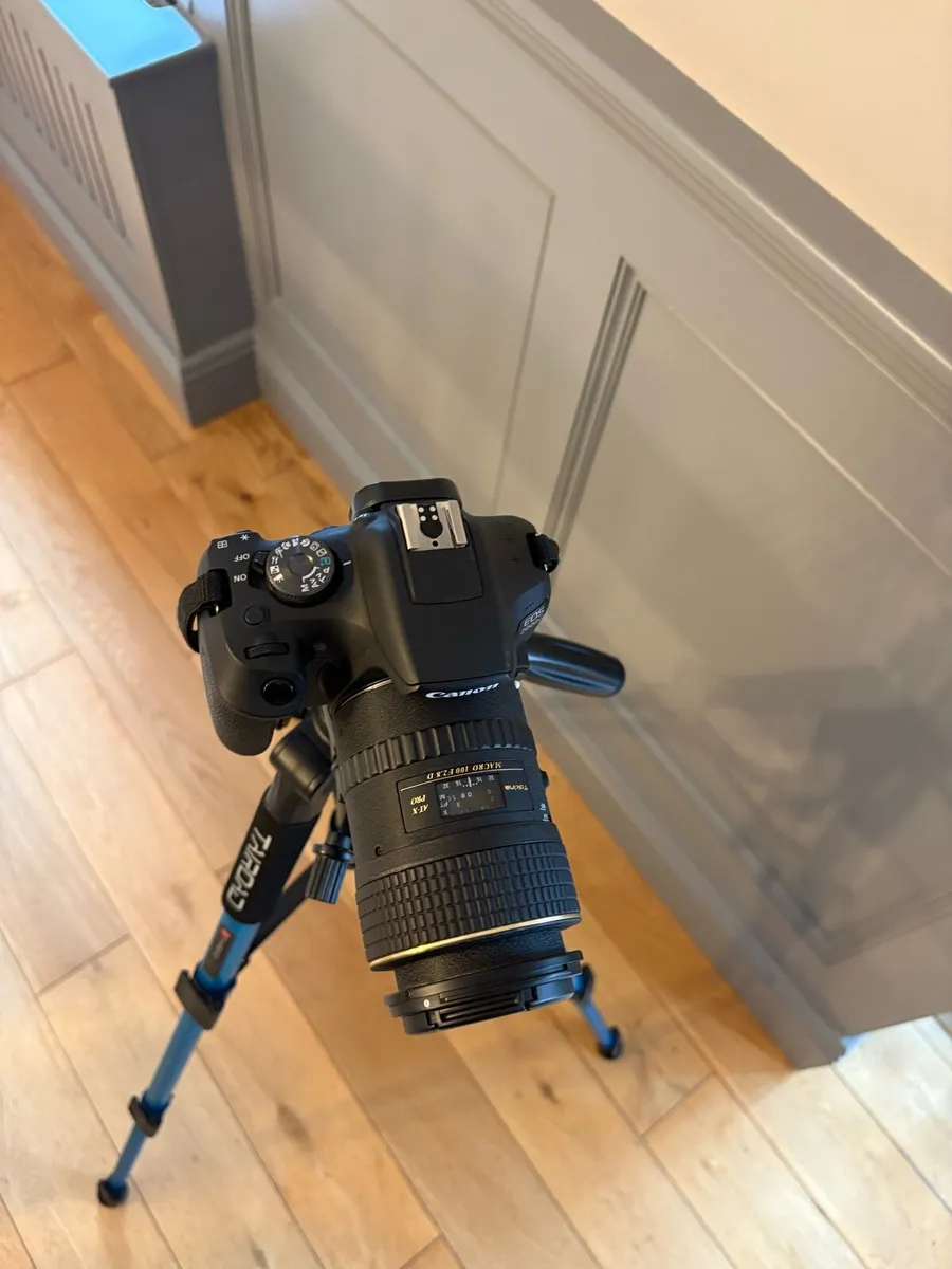 Cannon EOS 2000d Camera & accessories - Image 4