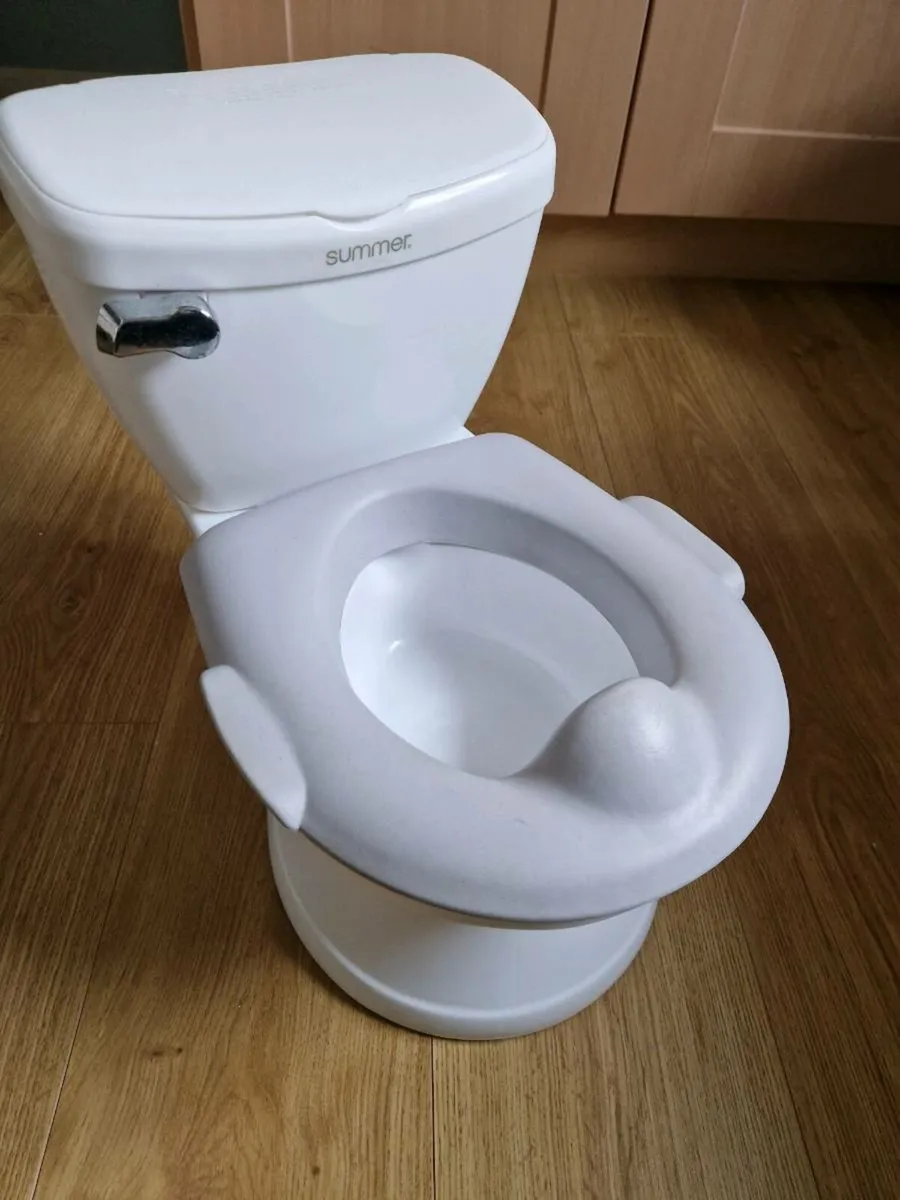 Toilet style potty - Image 1