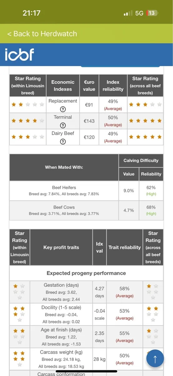 Pedigree easy calving Limousin bulls - Image 4
