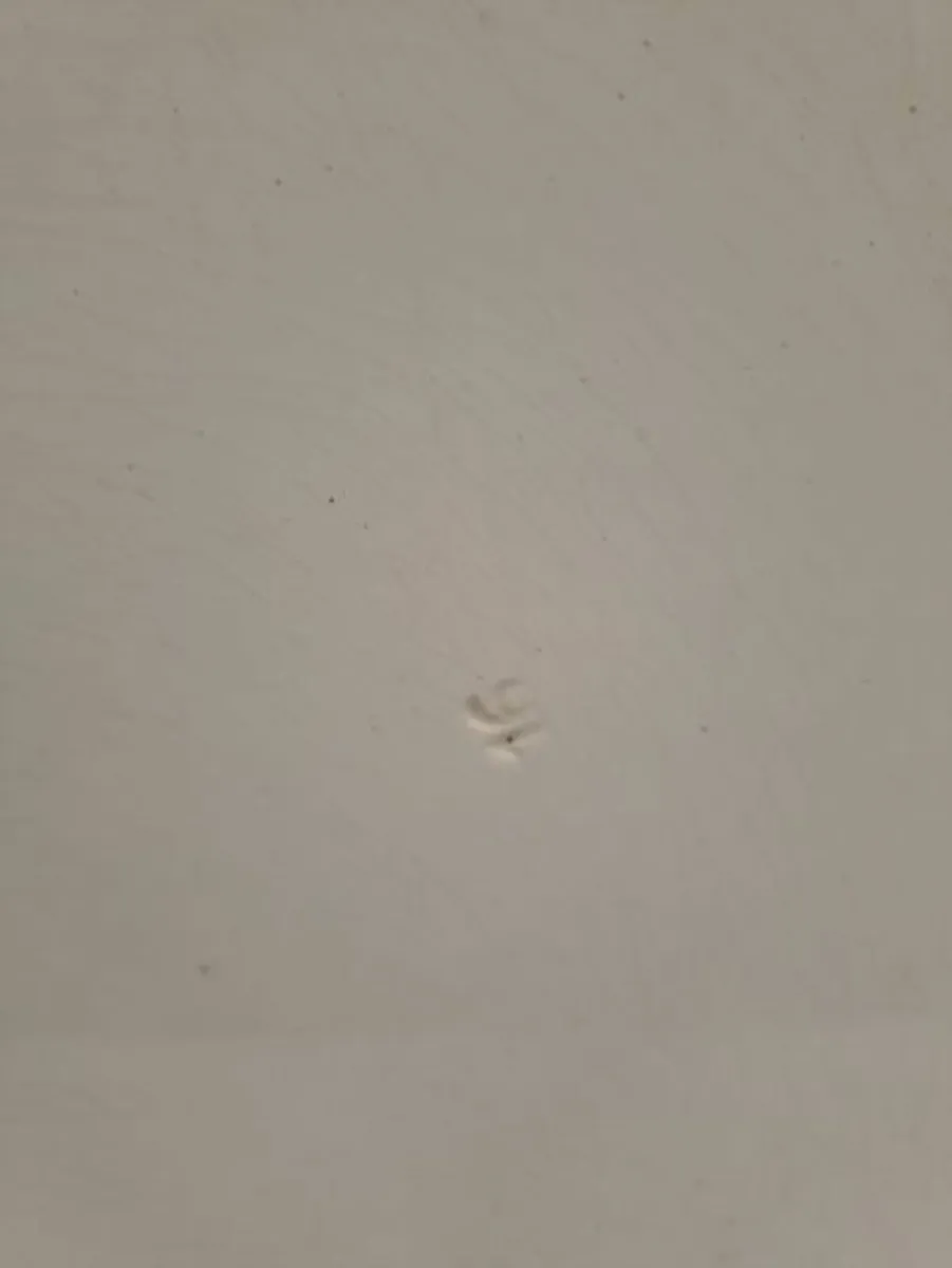 Victorian turkey serving platter brown and white - Image 4