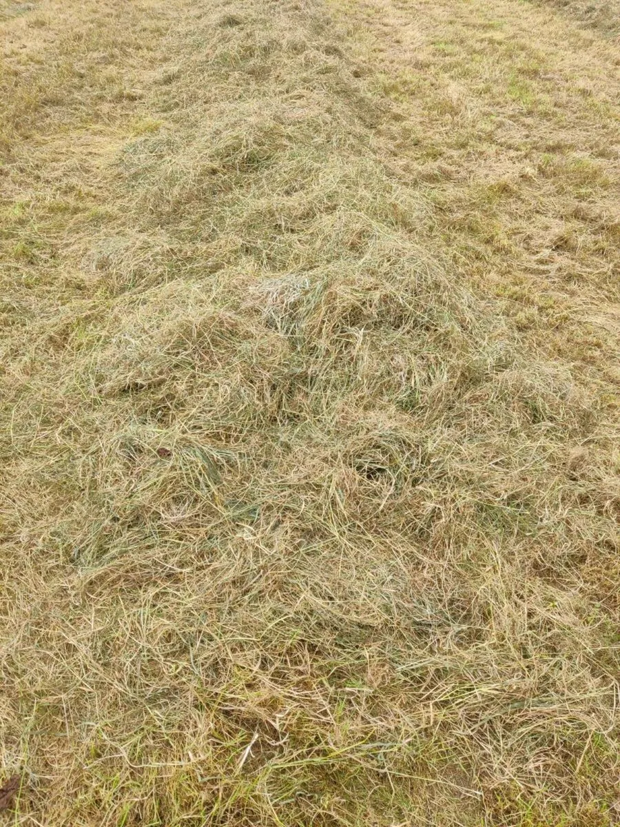 Round & Square Bales of Hay - Image 2