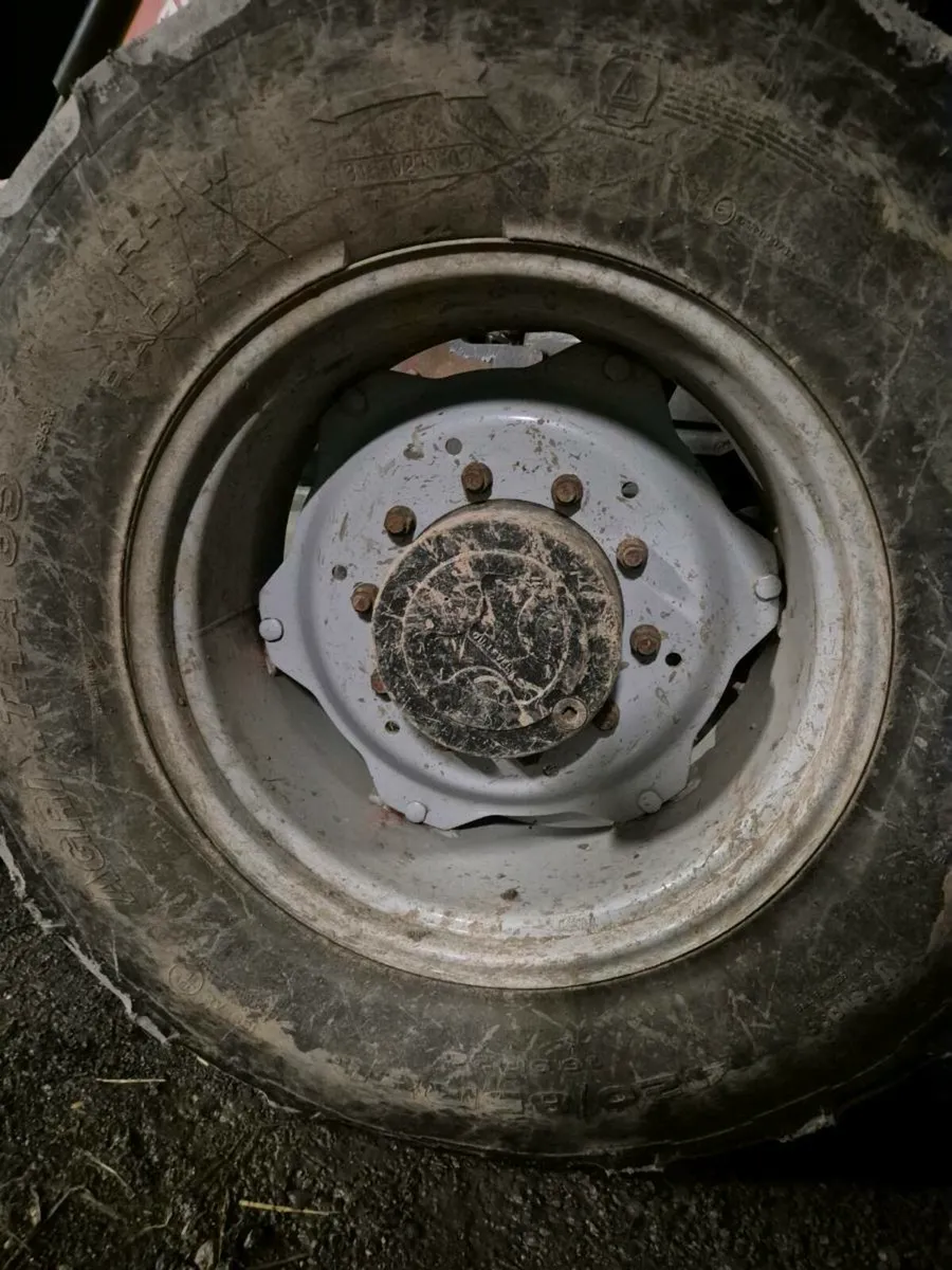 Rims and Tyres - Image 3