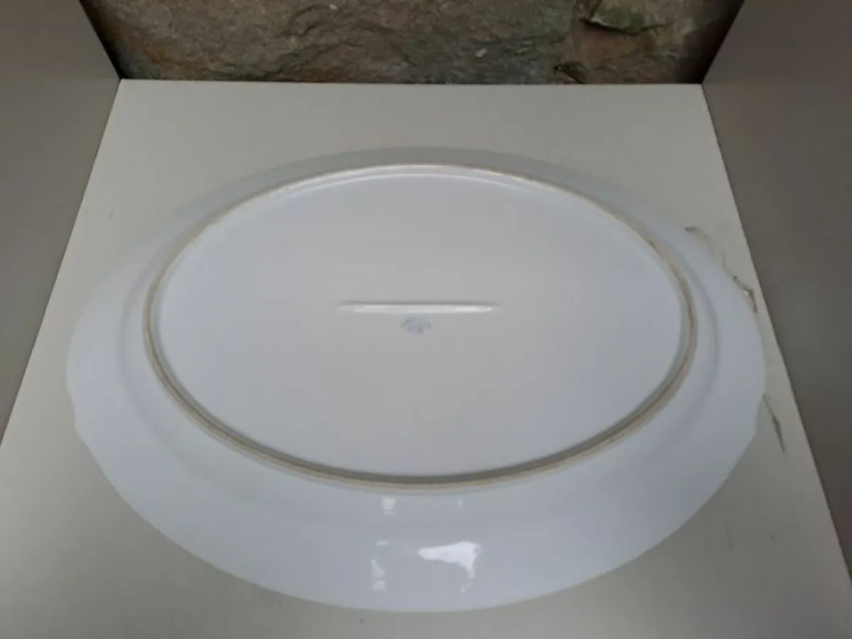 Antique Large turkey serving platter - Image 3