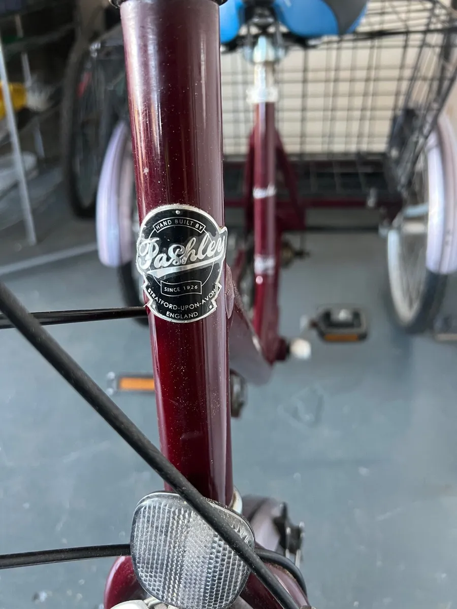 Adult tricycle Pashley - Image 3