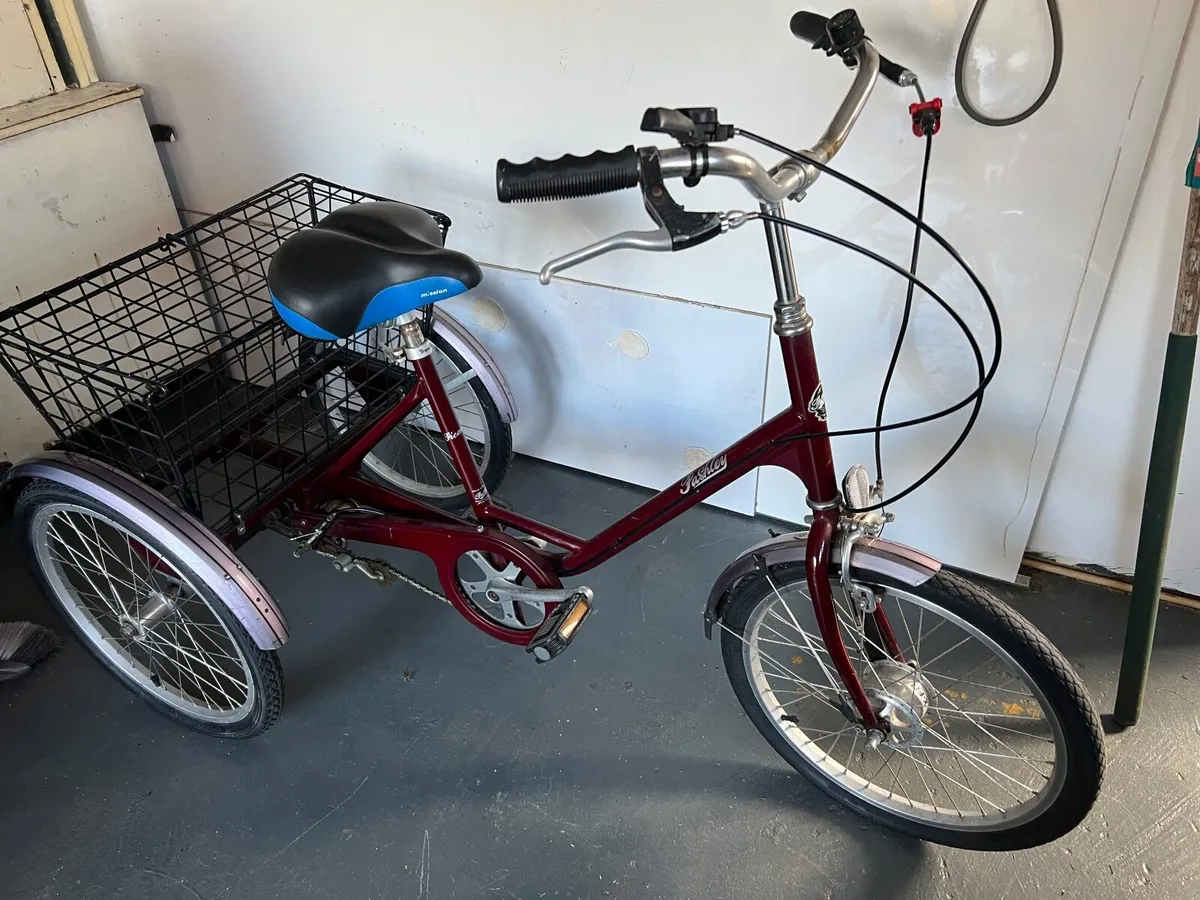 Adult tricycle Pashley - Image 1
