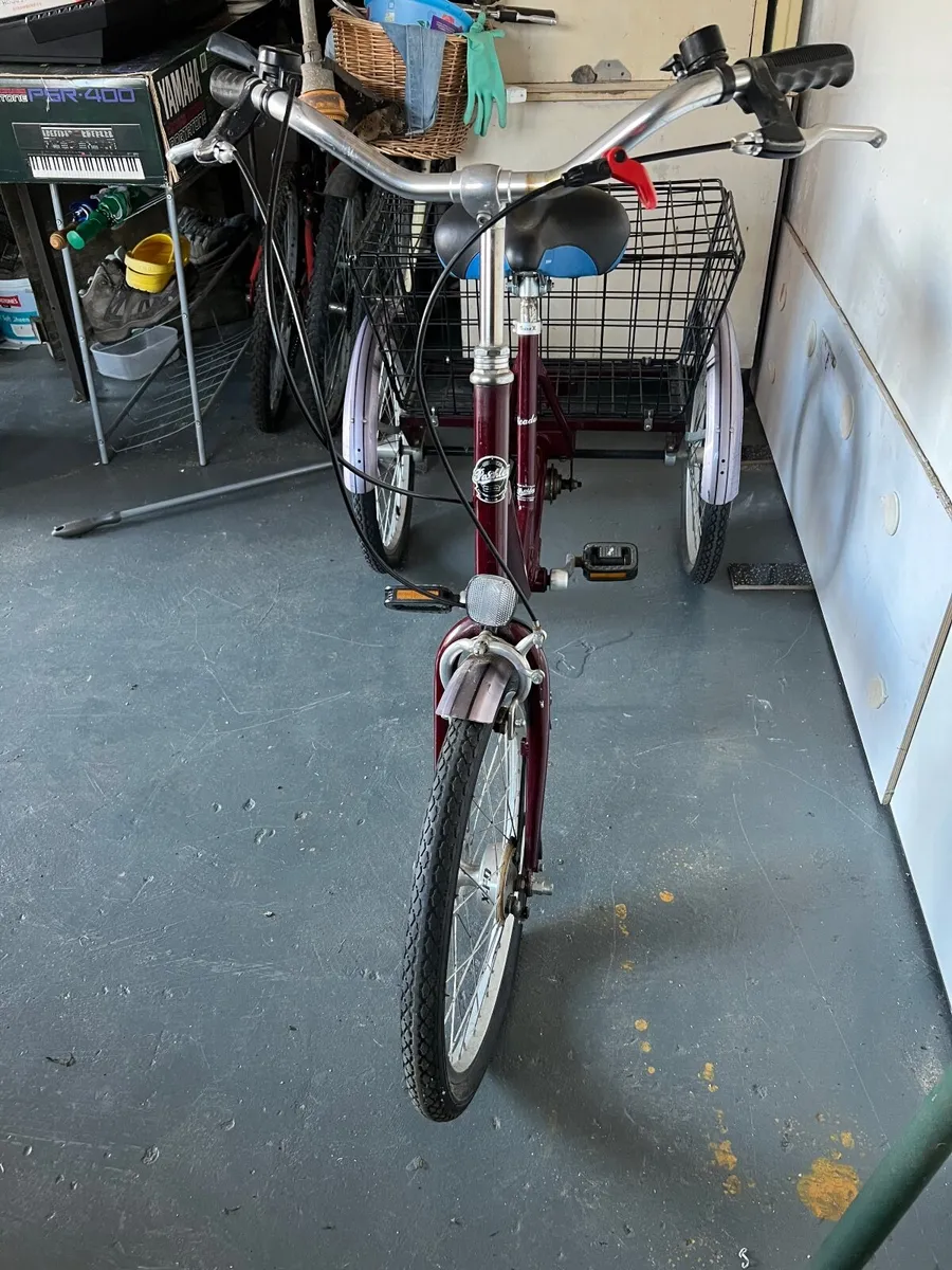 Adult tricycle Pashley - Image 2
