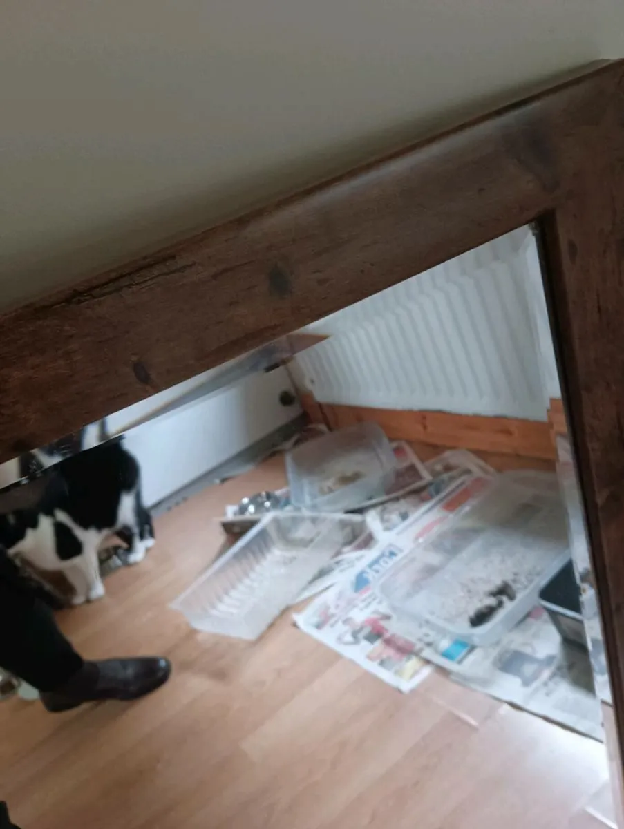 Beautiful mirror,as New 20 Euro - Image 4