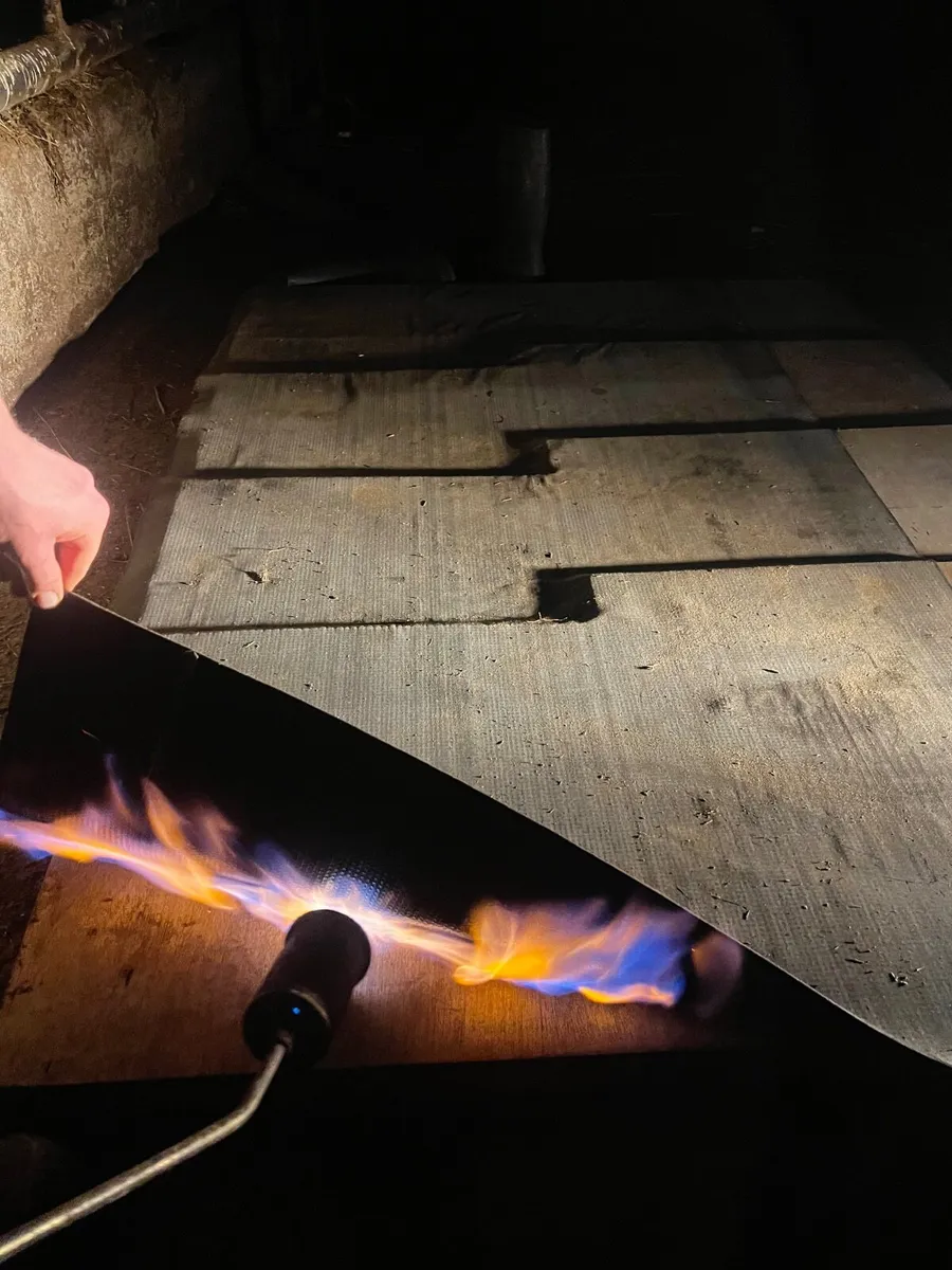 Dog houses - Image 3