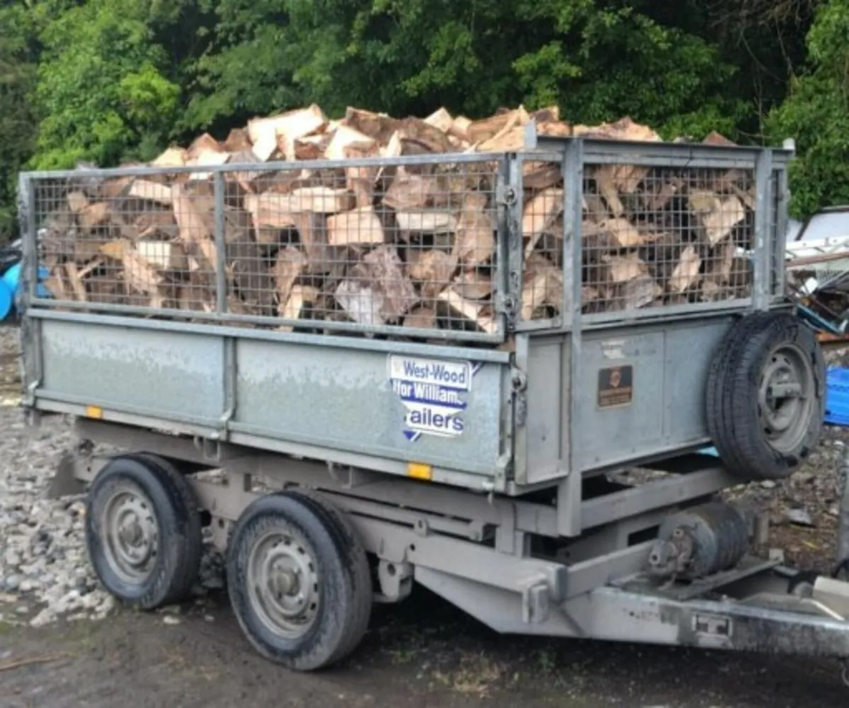 Ash. Fire. Wood - Image 1