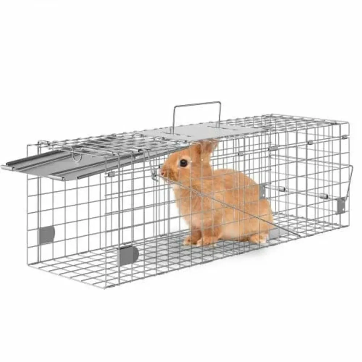 Live Animal Cage Trap, 61 x 20.3 x 20.3 cm Humane - Image 1