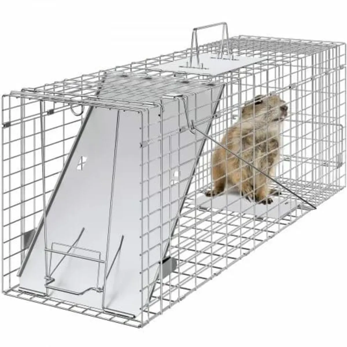 Live Animal Cage Trap, 79 x 25 x 30.5 cm Humane Ca - Image 1