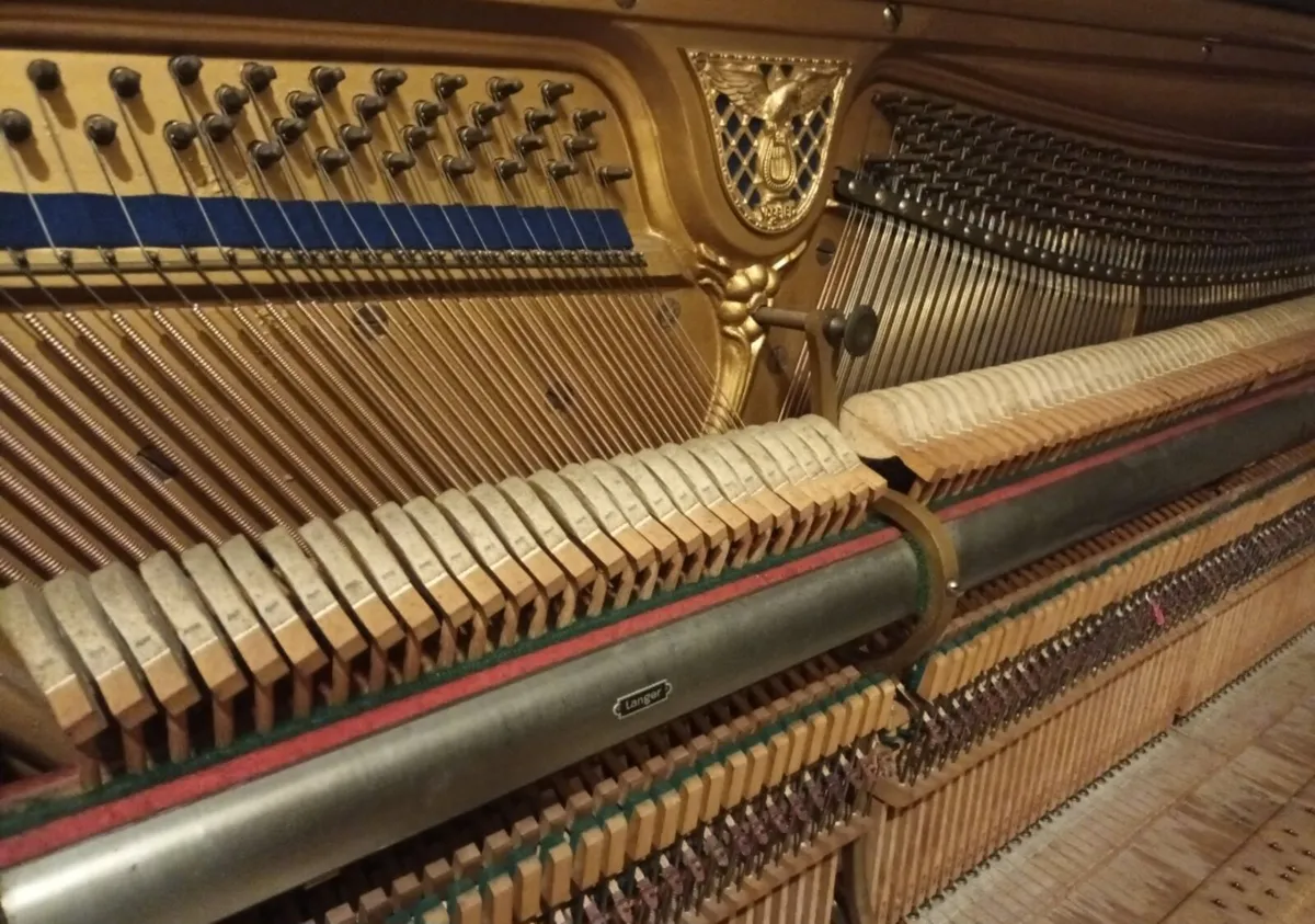 Vogeler German Gothic Overstrung - Image 4