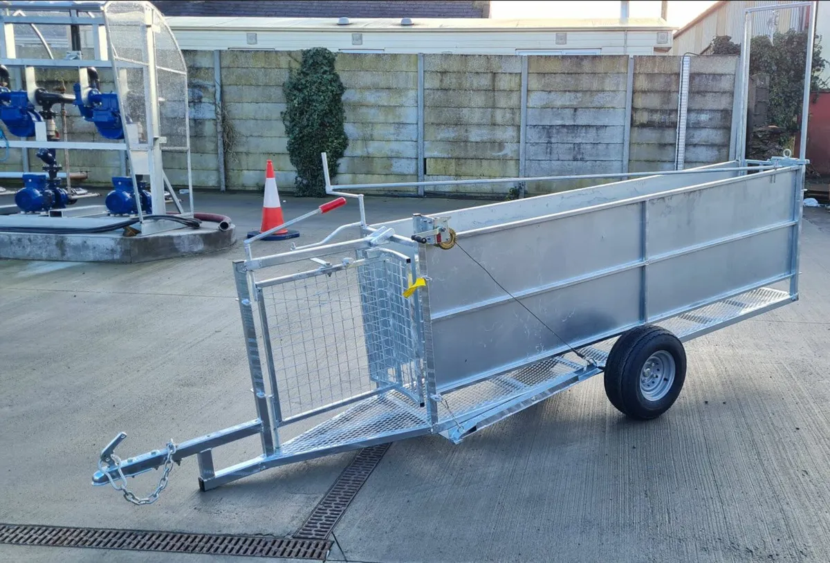 Race system - Image 2