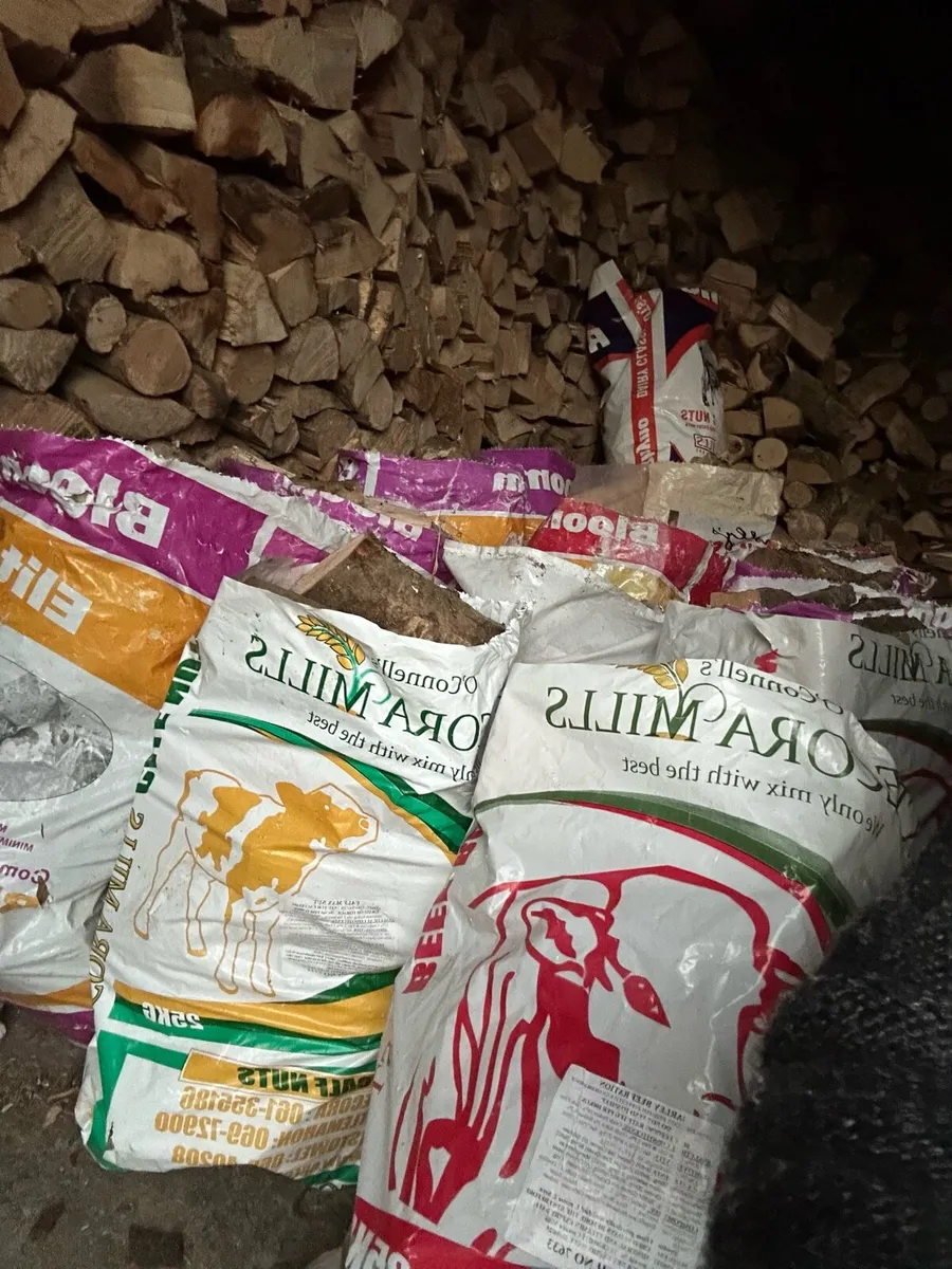 Firewood for sale - Image 3
