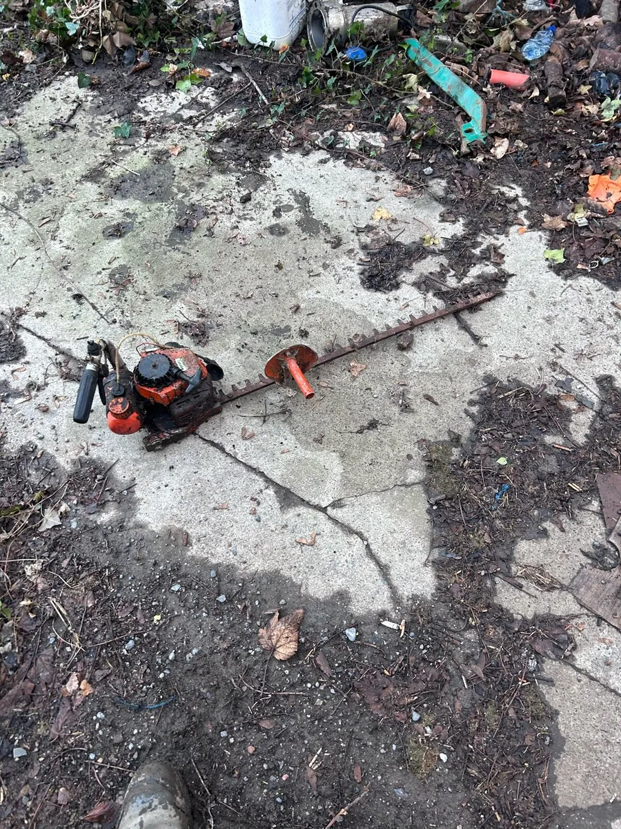 Hedge strimmer - Image 1