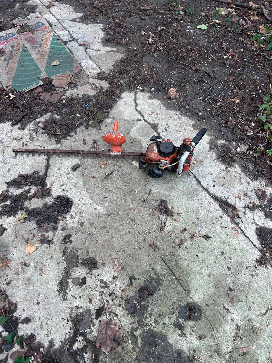 Hedge strimmer - Image 3