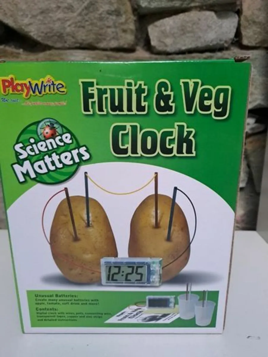 Scientific toy Fruit and Veg Clock - Image 1