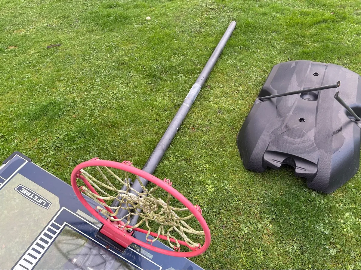 Lifetime Adjustable Basketball Hoop - Image 3
