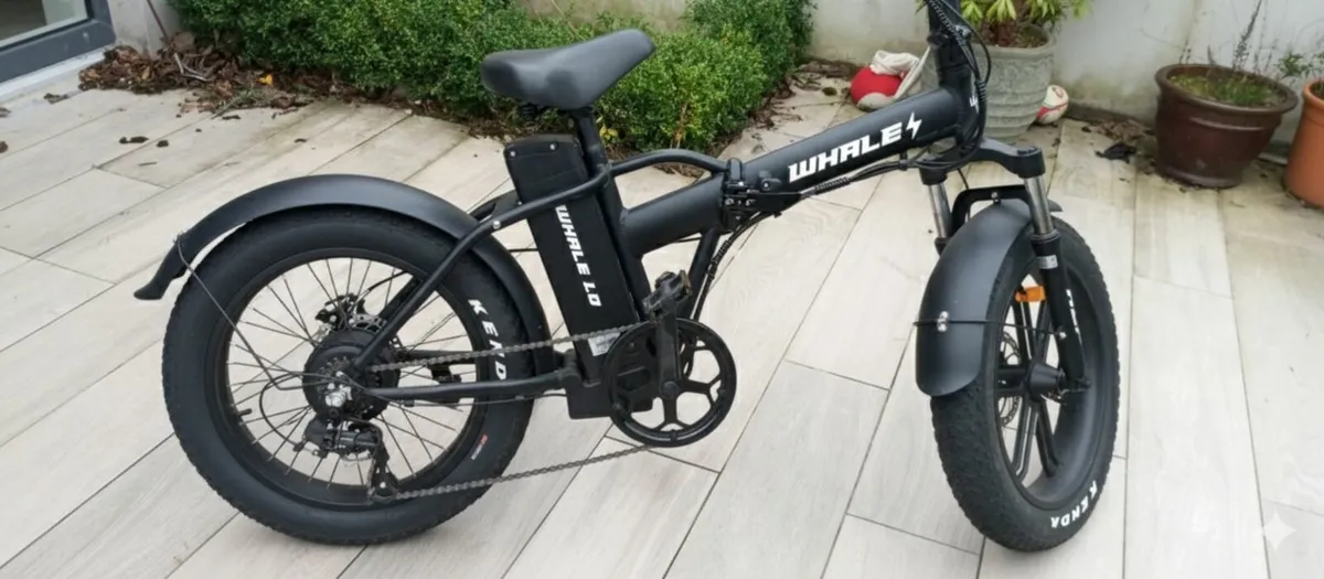 ebike - Image 4