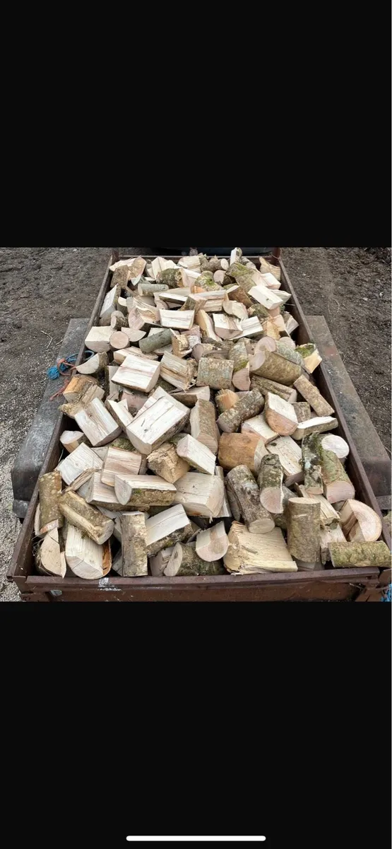 Ash firewood timber - Image 1