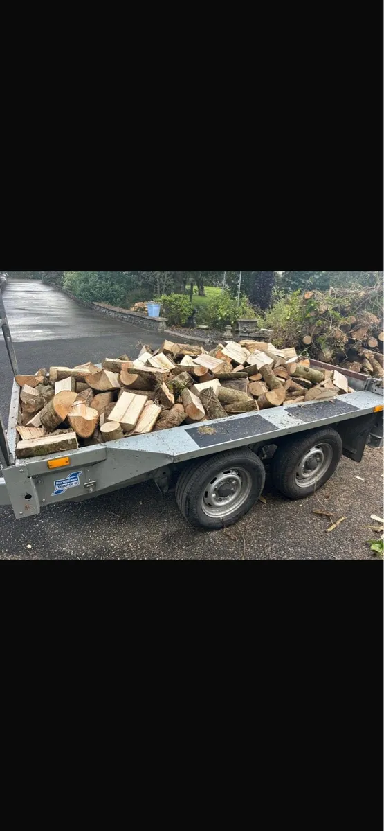 Ash firewood timber - Image 3