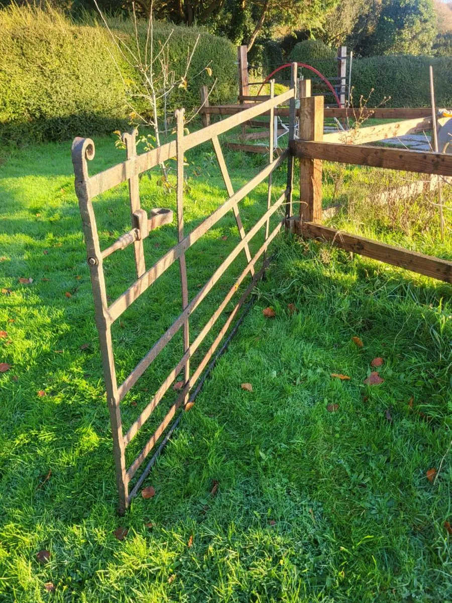 Forged blacksmith  gate - Image 1