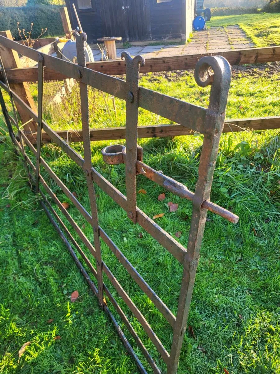 Forged blacksmith  gate - Image 2