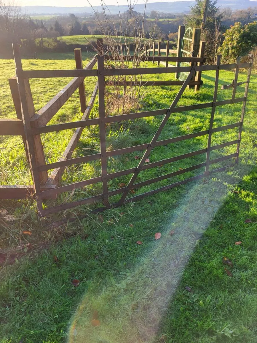 Forged blacksmith  gate - Image 3