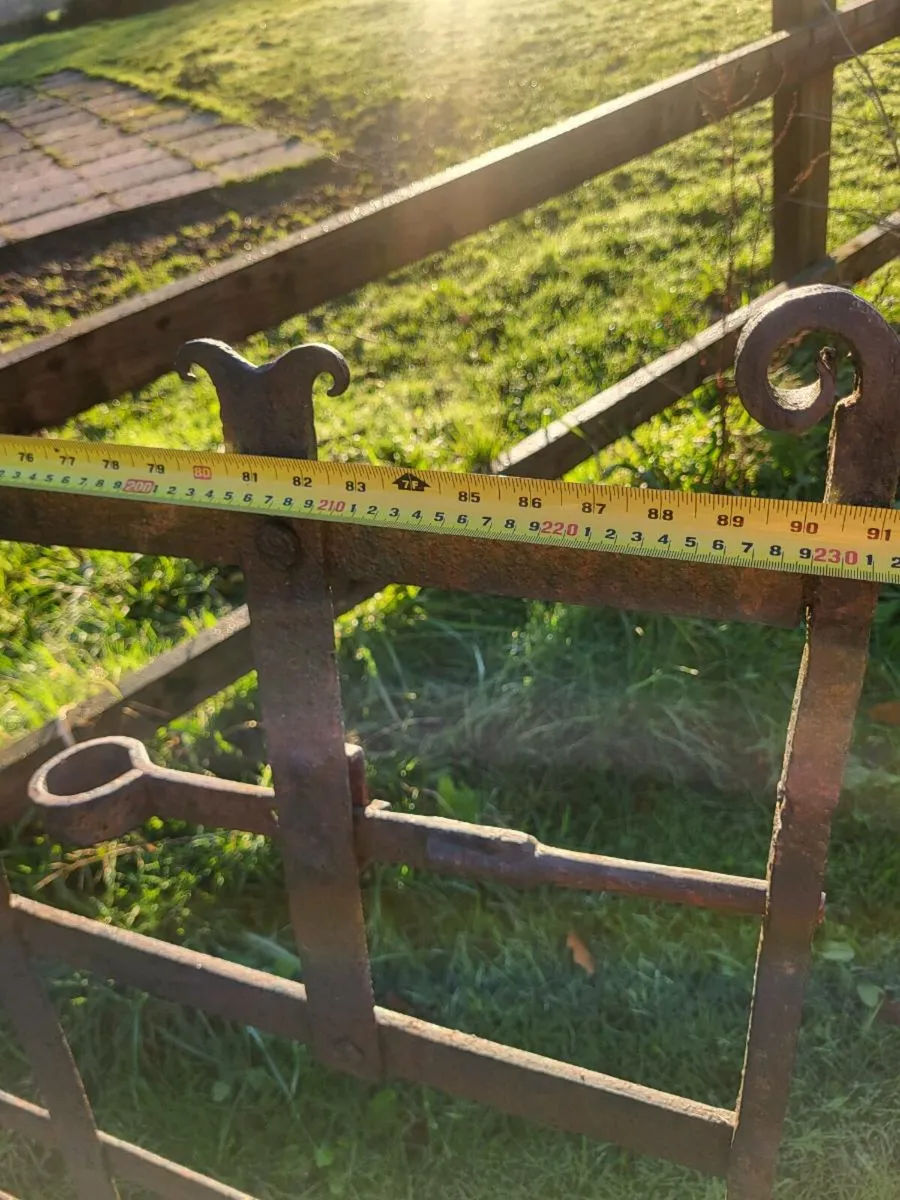 Forged blacksmith  gate - Image 4