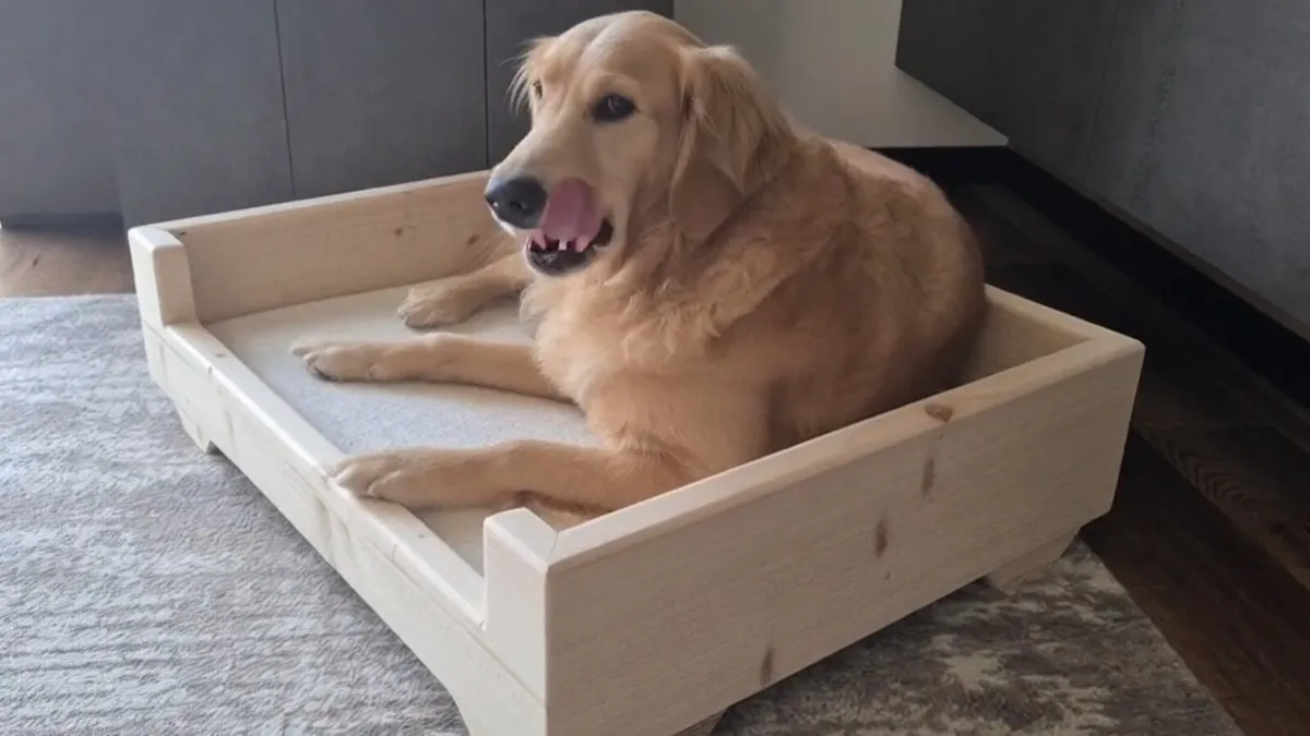 100% wood Dog bed - Image 1