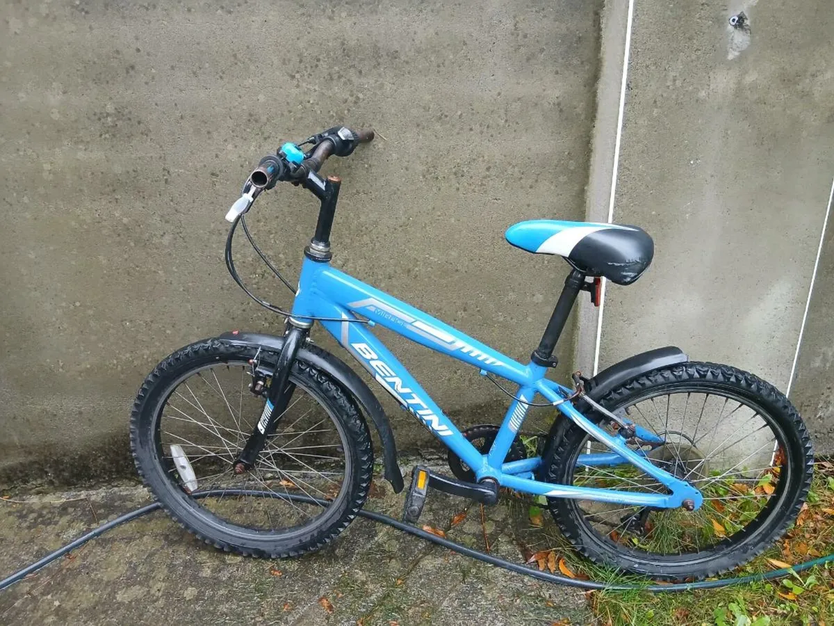 22 inch bike - Image 1