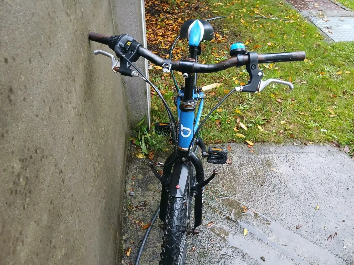 22 inch bike - Image 2