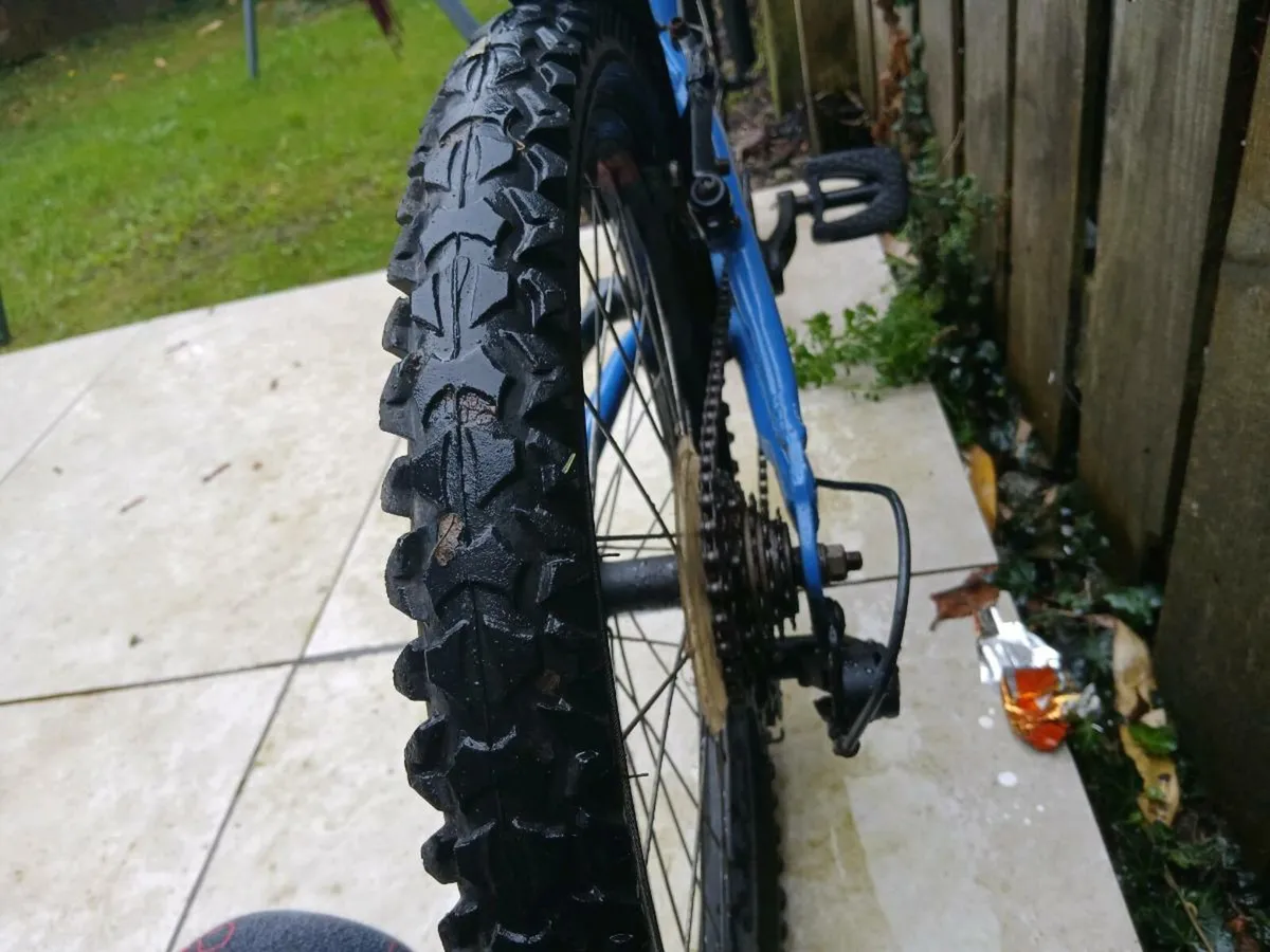 22 inch bike - Image 4