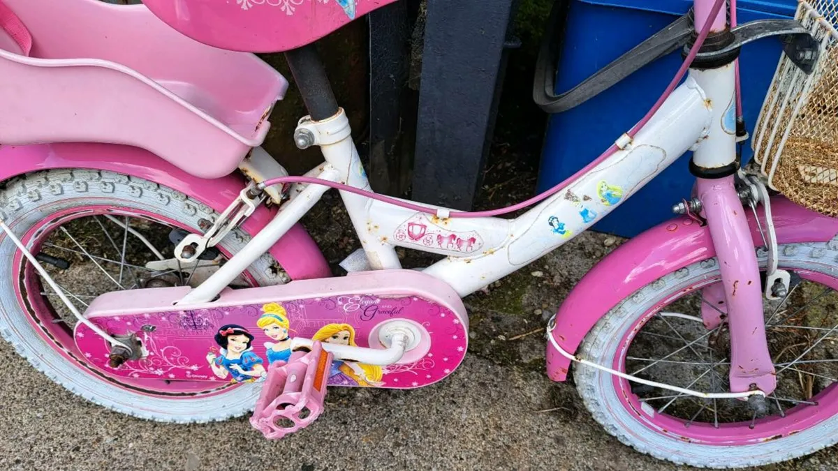 Girls starter bike (Free) - Image 2
