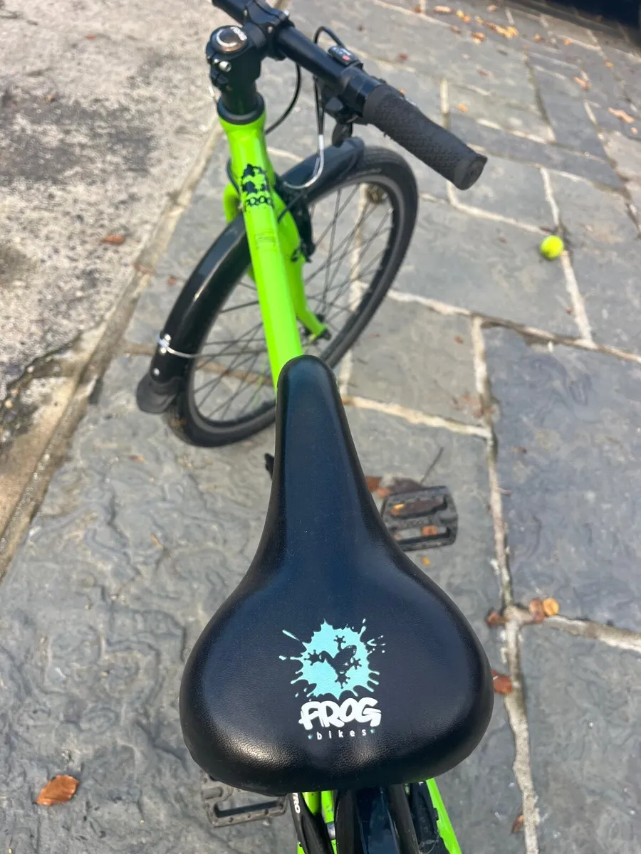 Frog bike - Image 4
