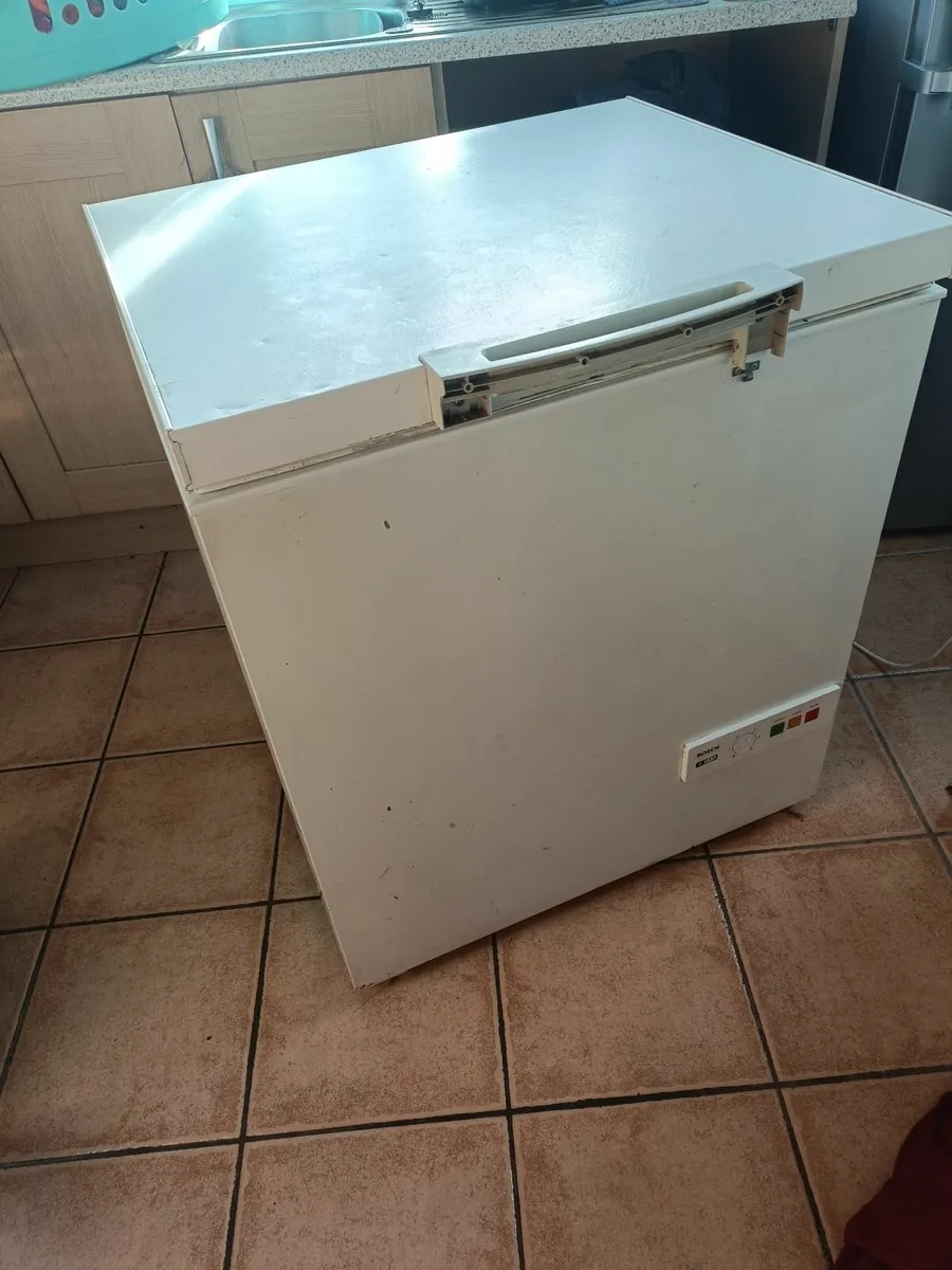 Freezer - Image 3