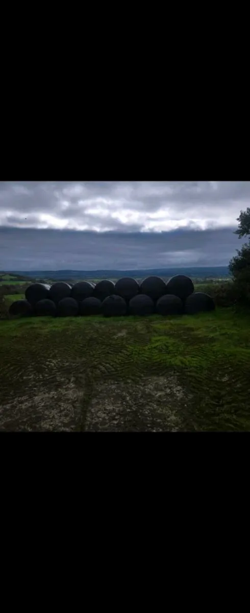 1st and 2nd cut Silage - Image 1