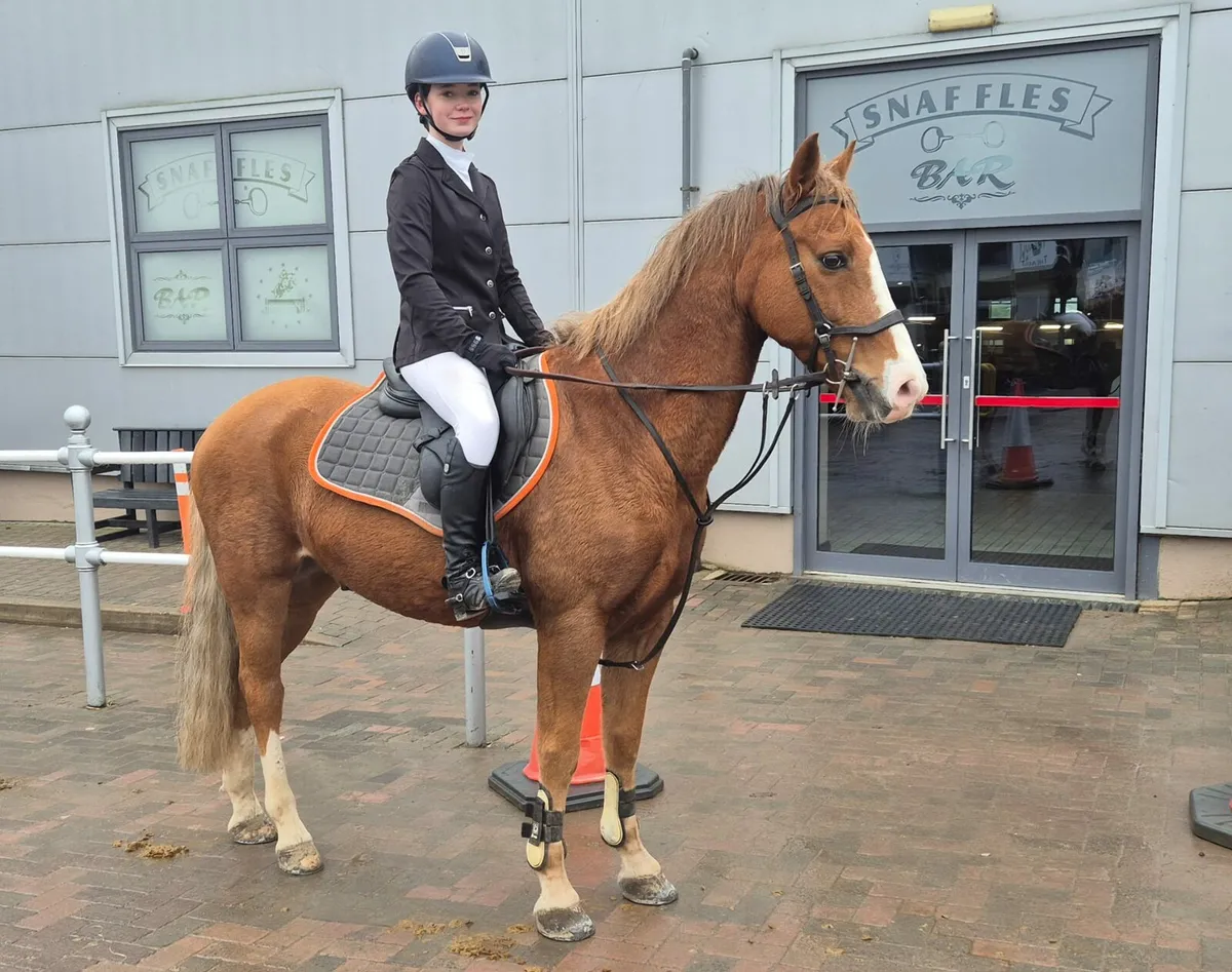 School master - Image 3