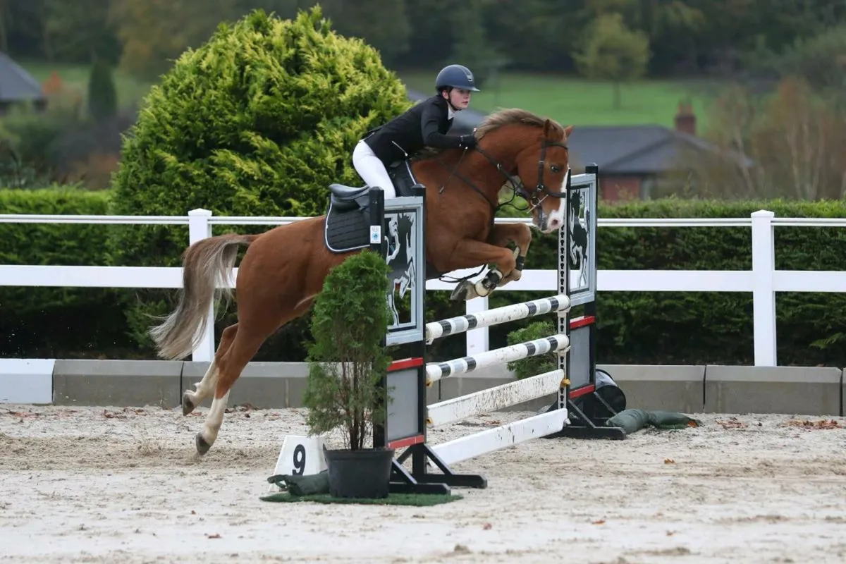 School master - Image 4