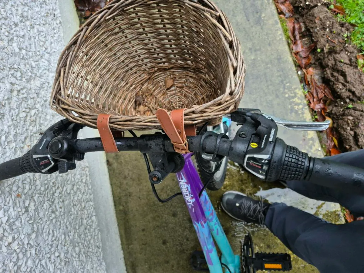 Girls bike - Image 4