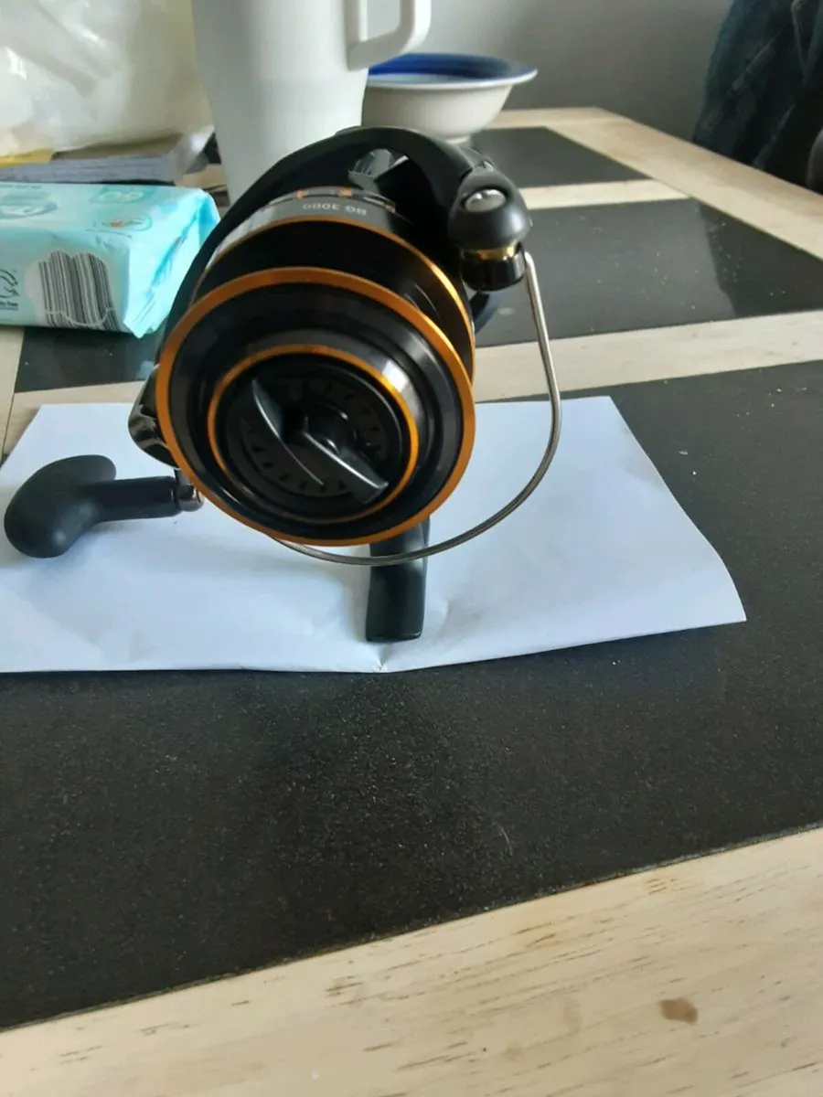 Daiwa  BG 3000 - Image 2